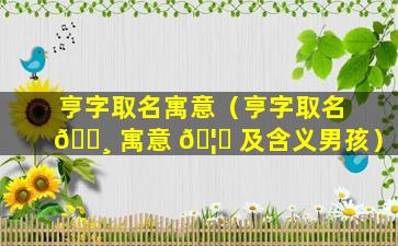 亨字取名寓意（亨字取名 🕸 寓意 🦍 及含义男孩）